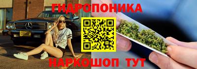 спиды Гагарин
